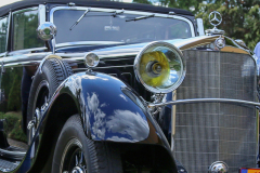 367057805_247718898186192_7271636975643637681_n