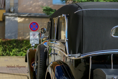 367058017_247721268185955_6656808015397553503_n