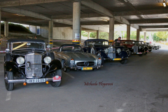 367083923_247719451519470_4487468968334170314_n