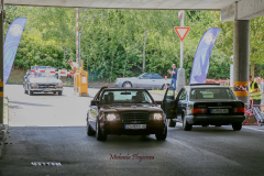 367088754_247714068186675_6284445917992686707_n