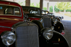 367091381_247719988186083_7589056956394737803_n