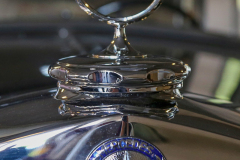 367122347_247714344853314_5779497170144222549_n