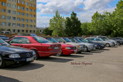 367380021_247717484853000_46848091463889321_n