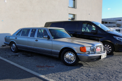 367384118_247721851519230_2285375589576577976_n