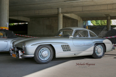 367385176_247720051519410_912478106008232874_n