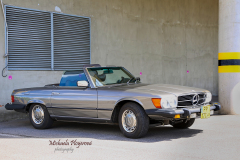 367393862_247714861519929_3571042740553541592_n