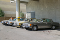 367394583_247718538186228_5017414662845805076_n