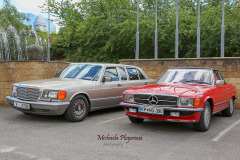 367443206_247715678186514_7447519771227697261_n