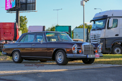 367451774_247723164852432_4288712966746328743_n