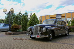 367455574_247715011519914_3778228045534253951_n