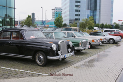 367424083_247867648171317_1807062755194724048_n