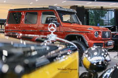 367445844_247868731504542_3381087243754651106_n